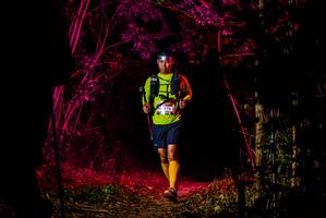 BIB: 276
                            <button type="button" onclick="openModal(7019277)" class="btn btn-primary btn-sm float-right btn-popup" data-toggle="modal" data-target=".modal-high-quality">
                        <i class="fas fa-shopping-cart"></i> Add to Cart
                    </button>
                                            <button type="button" onclick="isThisMe(7019277, true)" class="btn btn-success btn-sm float-right btn-popup btn-isme hidden" data-toggle="tooltip" data-placement="bottom" title="นี่คือรูปของคุณใช่ไหม คลิกที่นี่เพื่อเอาเข้าอัลบั้ม">
                        <i class="fas fa-plus"></i> Add to album
                    </button>
                    <button type="button" onclick="isThisMe(7019277, false)" class="btn btn-warning btn-sm float-right btn-popup btn-isnotme hidden">
                        <i class="fas fa-ban"></i> Remove from album
                    </button>